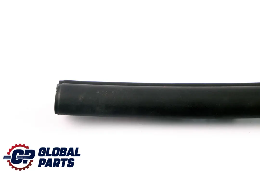 BMW E88 Sello Ruber Convertible Izquierda Techo Plegable Mecanismo - SKU 7174775 - Número de pieza 7174775