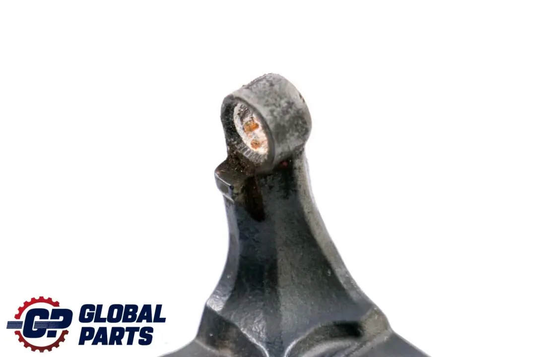 Türscharnier Oben Links Toledoblau 482 Metallic für BMW Z4 er E85 E86 mit Teilenummer 7036787 BMW Z4 er E85 E86 Türscharnier Oben Links Toledoblau 482 Metallic - SKU 7176821-TDB - Teilenummer 7036787