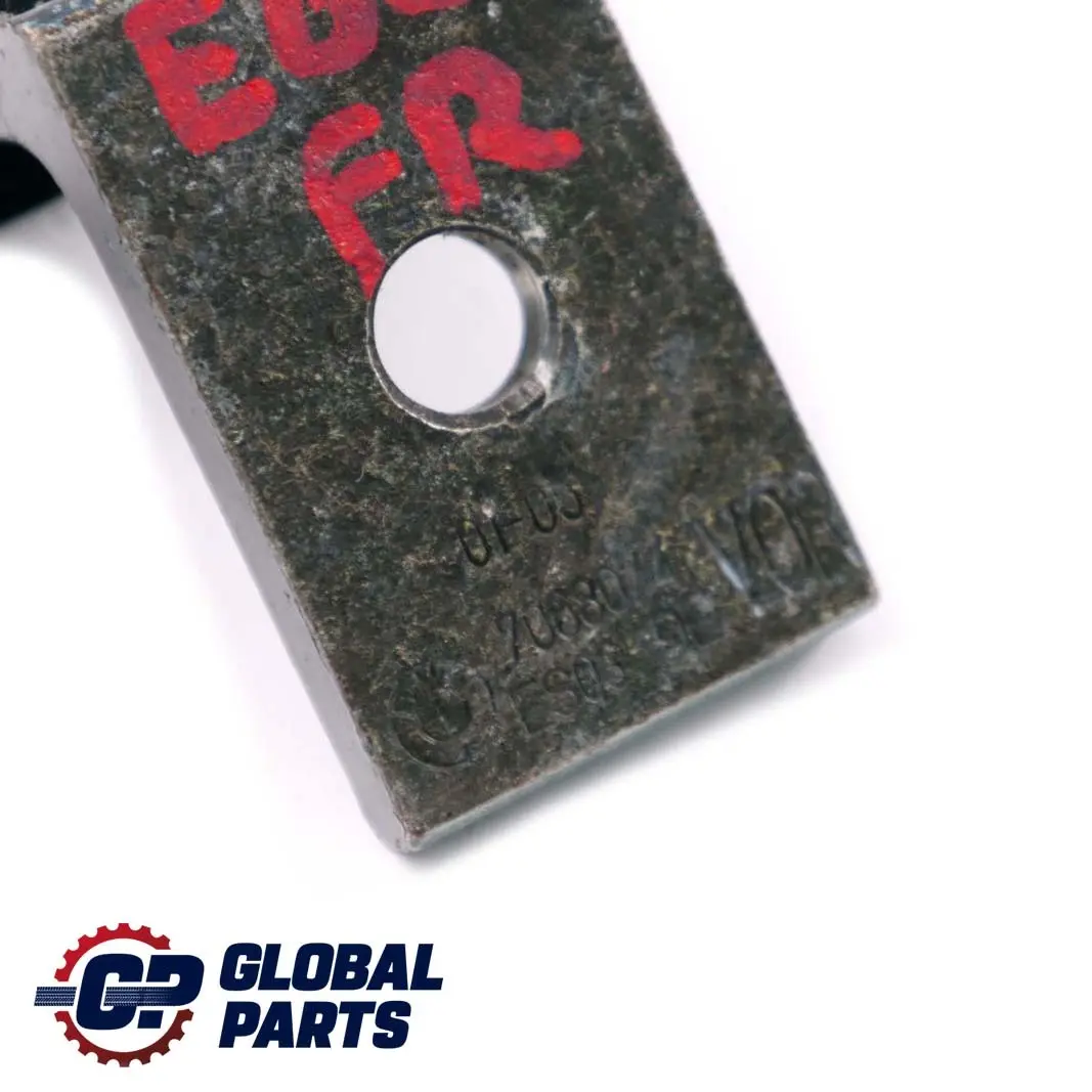 BMW 5 X5 er E60 E61 E70 M5 Türscharnier Vorn Oben Rechts Monacoblau - SKU 7176848-MB - Teilenummer 7068074