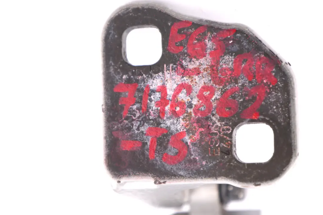 Türscharnier Unten Rechts Titan Silver Silber für BMW 7 er E65 E66 E67 mit Teilenummer 7176862 BMW 7 er E65 E66 E67 Türscharnier Unten Rechts Titan Silver Silber - SKU 7176862-TS - Teilenummer 7176862