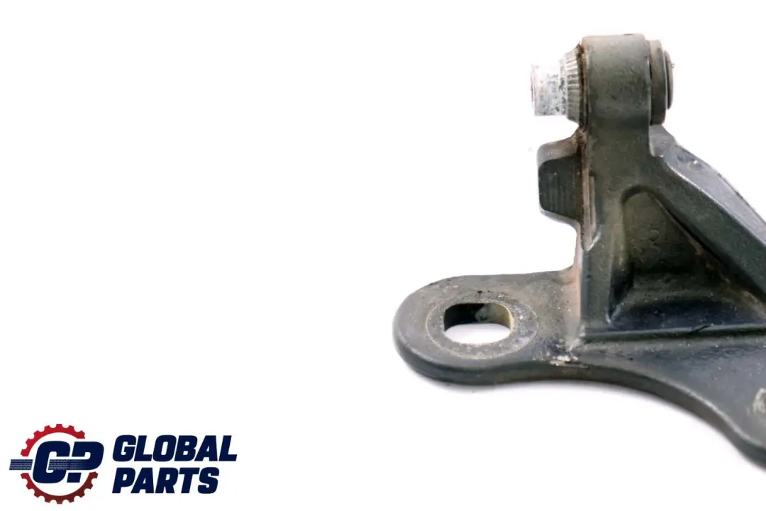 Door Hinge Bottom Lower Left N/S Toledoblau 482 Blue to BMW Z4 Series E85 with Part number 7051247 BMW Z4 Series E85 Door Hinge Bottom Lower Left N/S Toledoblau 482 Blue - SKU 7177257-TDB - Part number 7051247