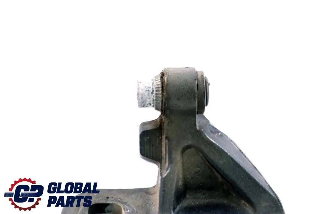 BMW Z4 Series E85 Door Hinge Bottom Lower Left N/S Toledoblau 482 Blue - SKU 7177257-TDB - Part number 7051247