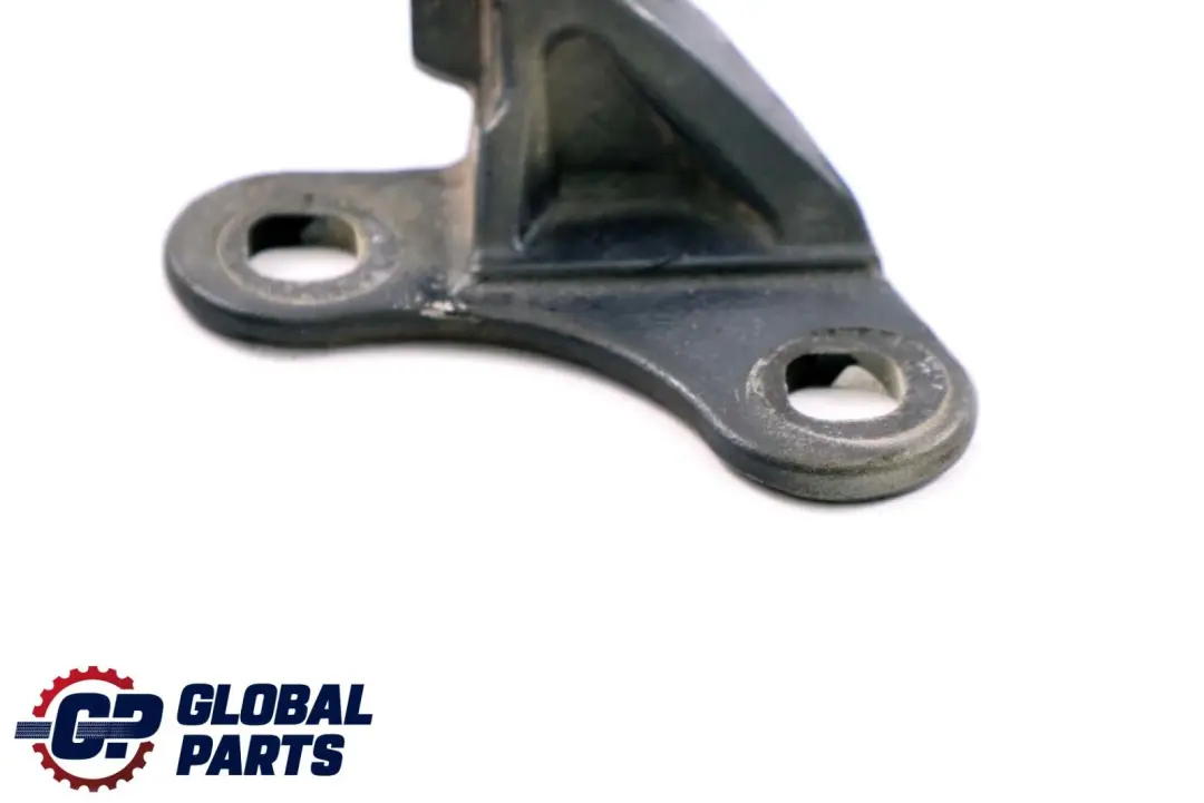 BMW Z4 Series E85 Door Hinge Bottom Lower Left N/S Toledoblau 482 Blue - SKU 7177257-TDB - Part number 7051247