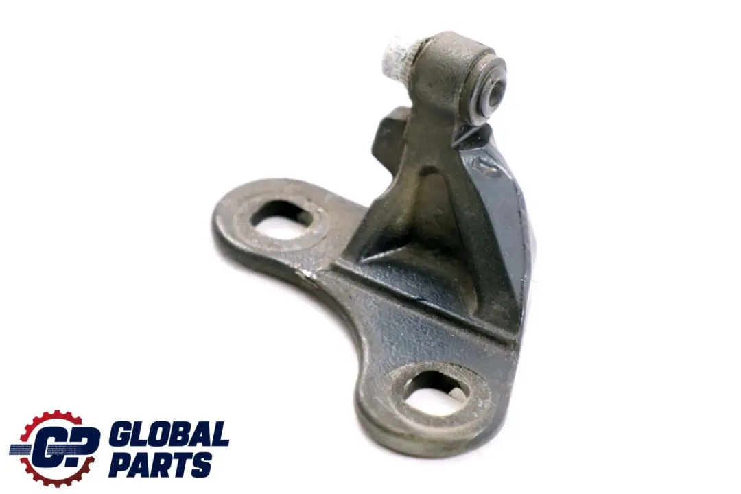 Door Hinge Bottom Lower Left N/S Toledoblau 482 Blue to BMW Z4 Series E85 with Part number 7051247 BMW Z4 Series E85 Door Hinge Bottom Lower Left N/S Toledoblau 482 Blue - SKU 7177257-TDB - Part number 7051247