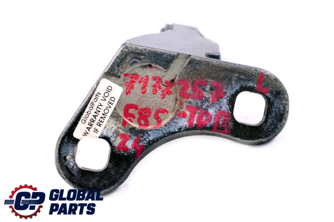 BMW Z4 Series E85 Door Hinge Bottom Lower Left N/S Toledoblau 482 Blue - SKU 7177257-TDB - Part number 7051247