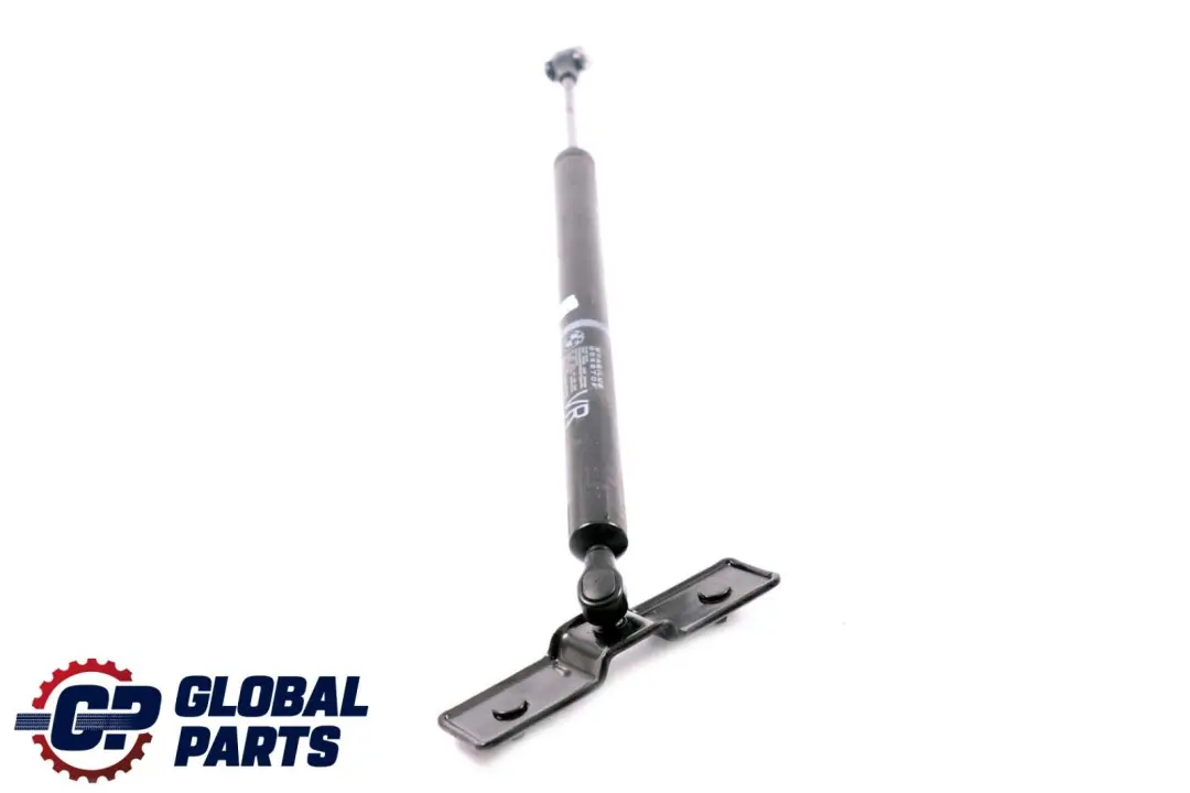 BMW F01 F02 Anteriore Destra Porta del Conducente Ammortizzatore Freno - SKU 7177616 - Numero di parte 7177616