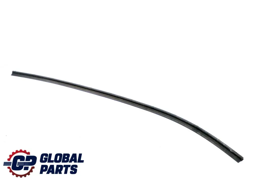 Junta De Estanqueidad Puerta Brecha Frontal Inferior para BMW F01 F02 con número de pieza 7178005 BMW F01 F02 Junta De Estanqueidad Puerta Brecha Frontal Inferior - SKU 7178005 - Número de pieza 7178005