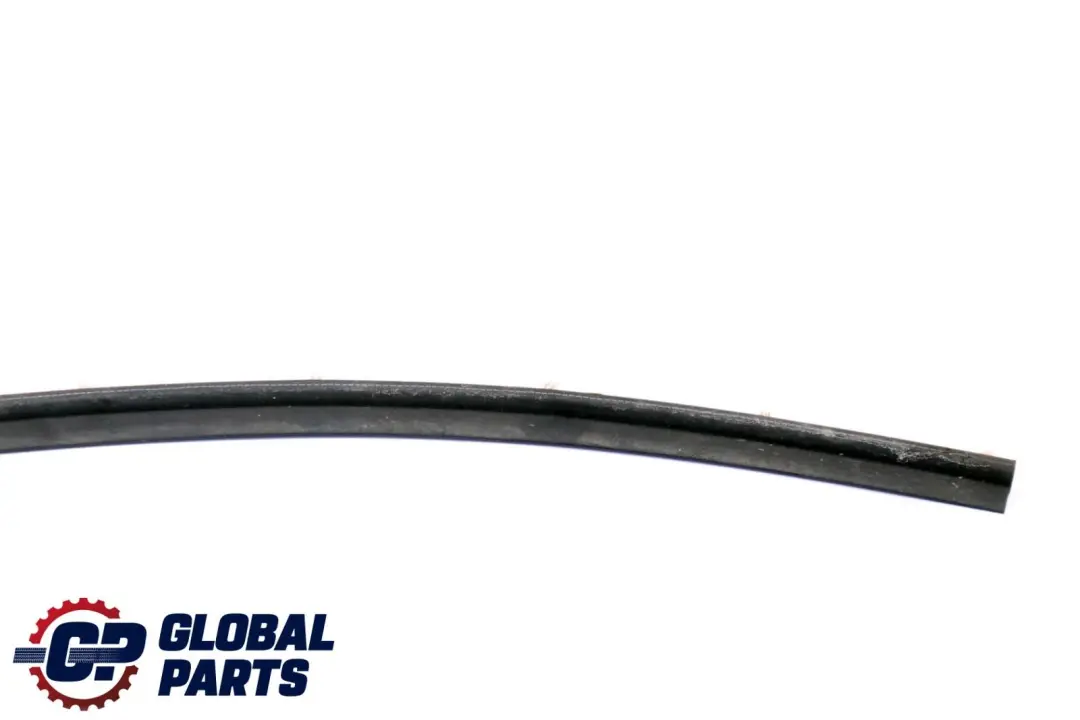 Junta De Estanqueidad Puerta Brecha Frontal Inferior para BMW F01 F02 con número de pieza 7178005 BMW F01 F02 Junta De Estanqueidad Puerta Brecha Frontal Inferior - SKU 7178005 - Número de pieza 7178005