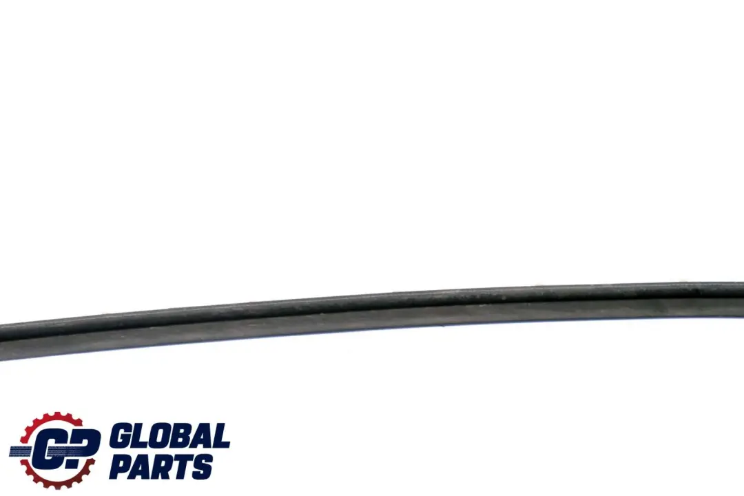 Seal Sealing Door Gap Front Bottom BMW F01 F02 - SKU 7178005 - Part number 7178005