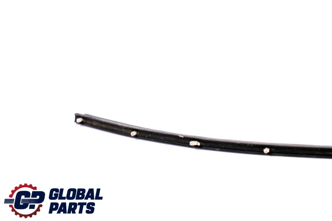 Junta De Estanqueidad Puerta Brecha Frontal Inferior para BMW F01 F02 con número de pieza 7178005 BMW F01 F02 Junta De Estanqueidad Puerta Brecha Frontal Inferior - SKU 7178005 - Número de pieza 7178005