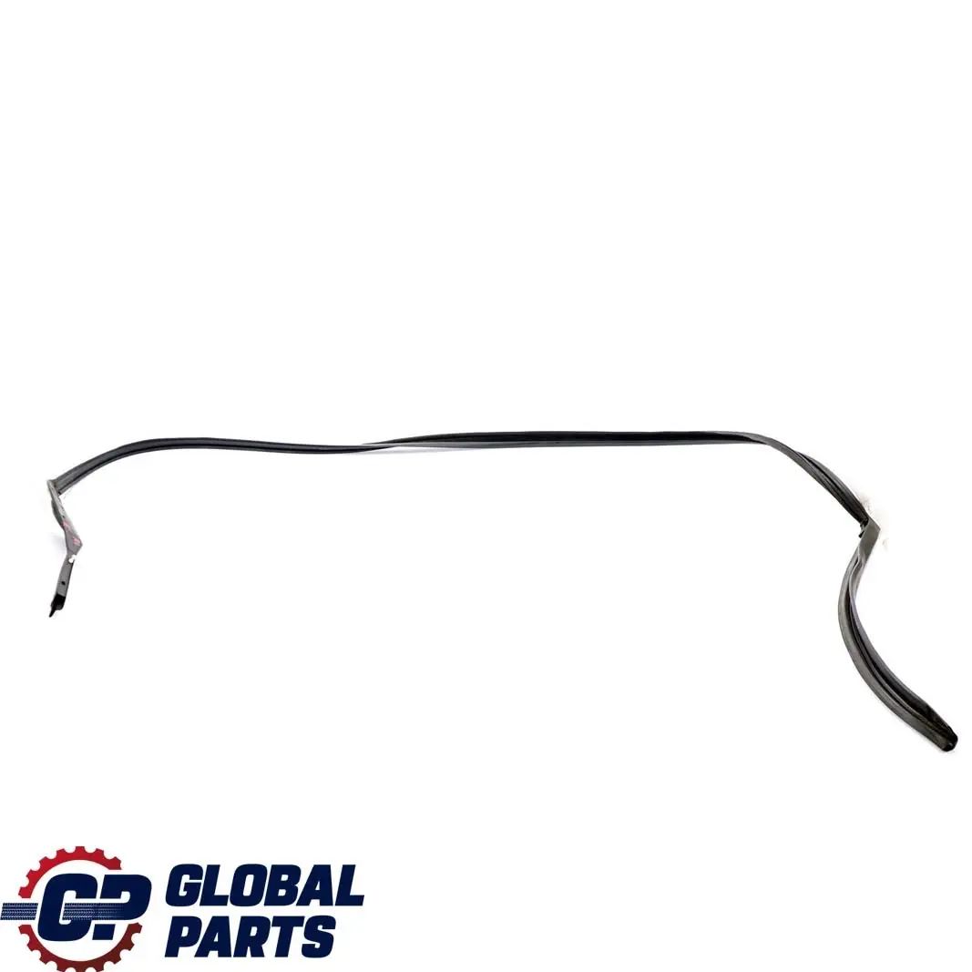 BMW F01 F04 Guarnizione Porta Tetto Posteriore Sinistro Trim 7178019