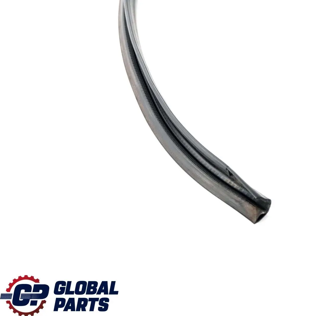 Guarnizione Porta Tetto Posteriore Sinistro Trim per BMW F01 F04 con numero di parte 7178019 BMW F01 F04 Guarnizione Porta Tetto Posteriore Sinistro Trim - SKU 7178019 - Numero di parte 7178019