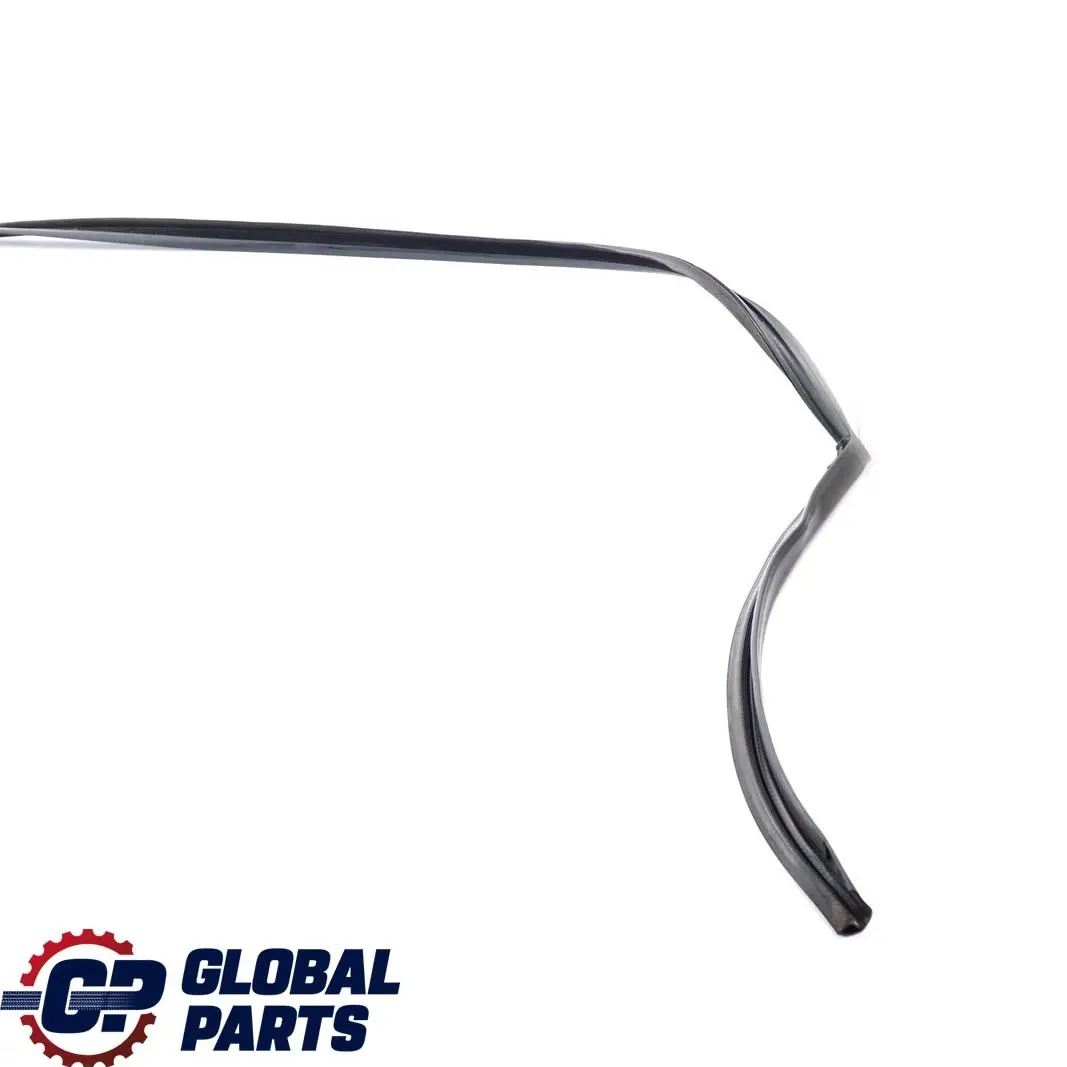 Junta Puerta Techo Trasera Izquierda Embellecedor para BMW F01 F04 con número de pieza 7178019 BMW F01 F04 Junta Puerta Techo Trasera Izquierda Embellecedor - SKU 7178019 - Número de pieza 7178019