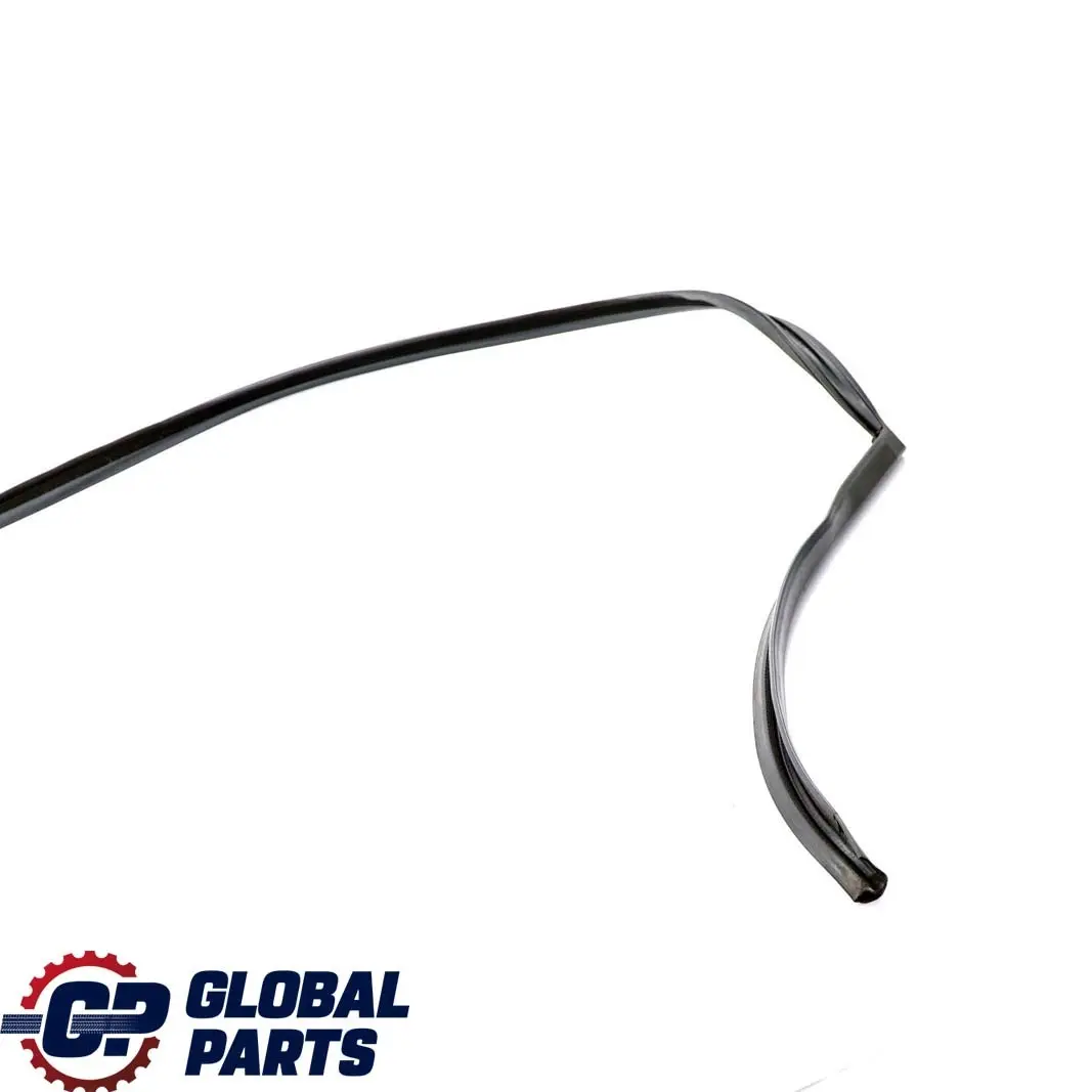 BMW F01 F04 Guarnizione Porta Tetto Posteriore Sinistro Trim - SKU 7178019 - Numero di parte 7178019
