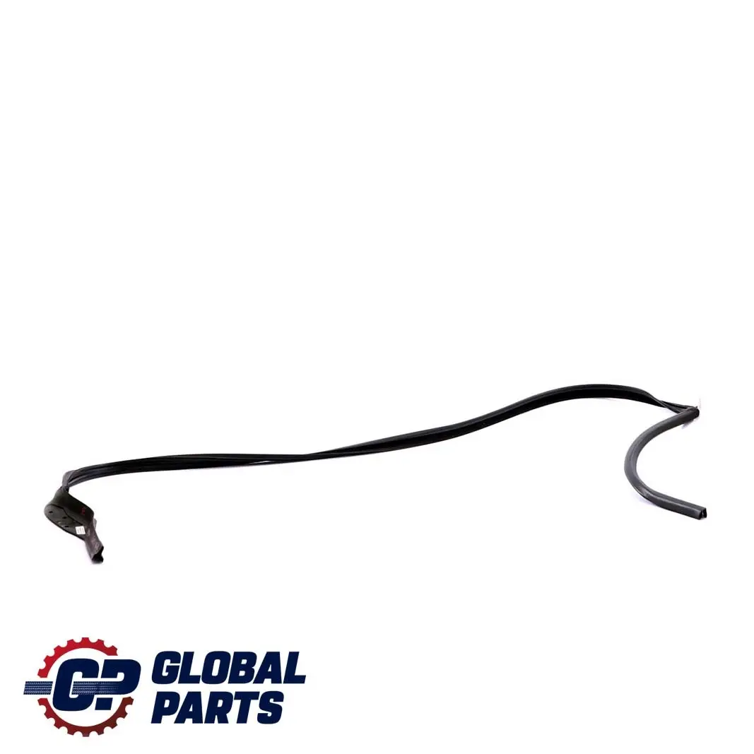 Guarnizione Porta Posteriore Destra Trim per BMW F01 F04 con numero di parte 7178020 BMW F01 F04 Guarnizione Porta Posteriore Destra Trim - SKU 7178020 - Numero di parte 7178020