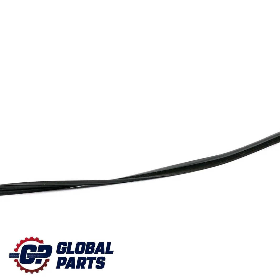 BMW F01 F04 Guarnizione Porta Posteriore Destra Trim - SKU 7178020 - Numero di parte 7178020