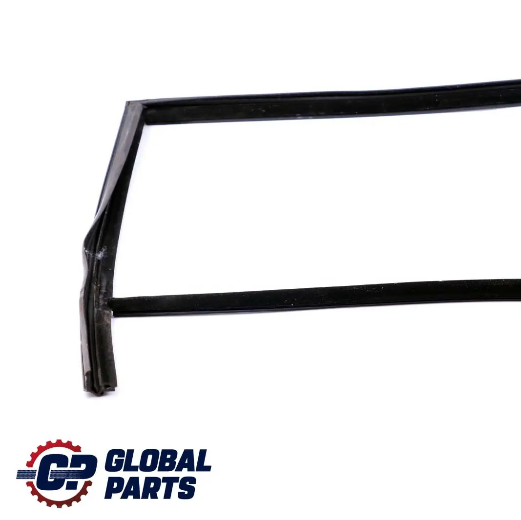 Trasera Derecha Ventana Guia Sello Puerta para BMW F01 F04 con número de pieza 7178022 BMW F01 F04 Trasera Derecha Ventana Guia Sello Puerta - SKU 7178022 - Número de pieza 7178022