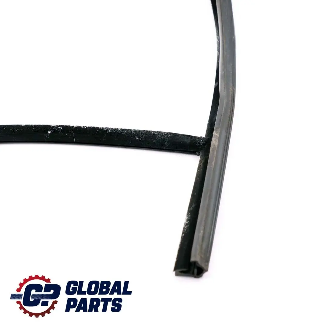 Guida finestra posteriore destra Guarnizione porta BMW F01 F04 - SKU 7178022 - Numero di parte 7178022