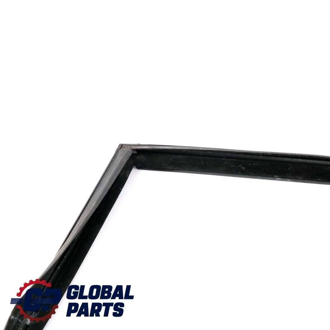 Guida finestra posteriore destra Guarnizione porta BMW F01 F04 - SKU 7178022 - Numero di parte 7178022