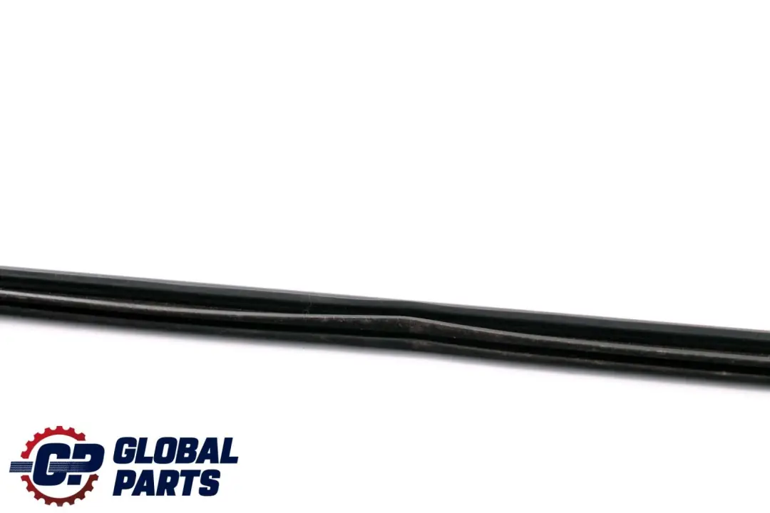 BMW X6 Series E71 Rear Left Door N/S Inner Weatherstrip Sealing Trim - SKU 7179403 - Part number 7179403