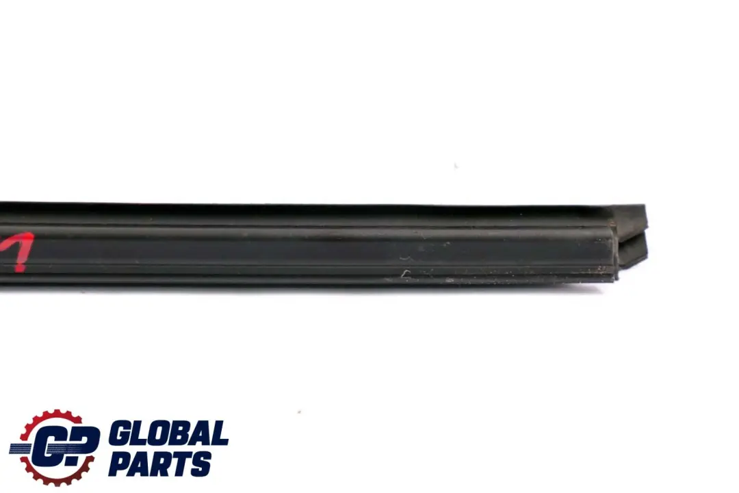 BMW X6 er E71 Hintere Linke Tür Innere Dichtungsleiste Zierleiste - SKU 7179403 - Teilenummer 7179403