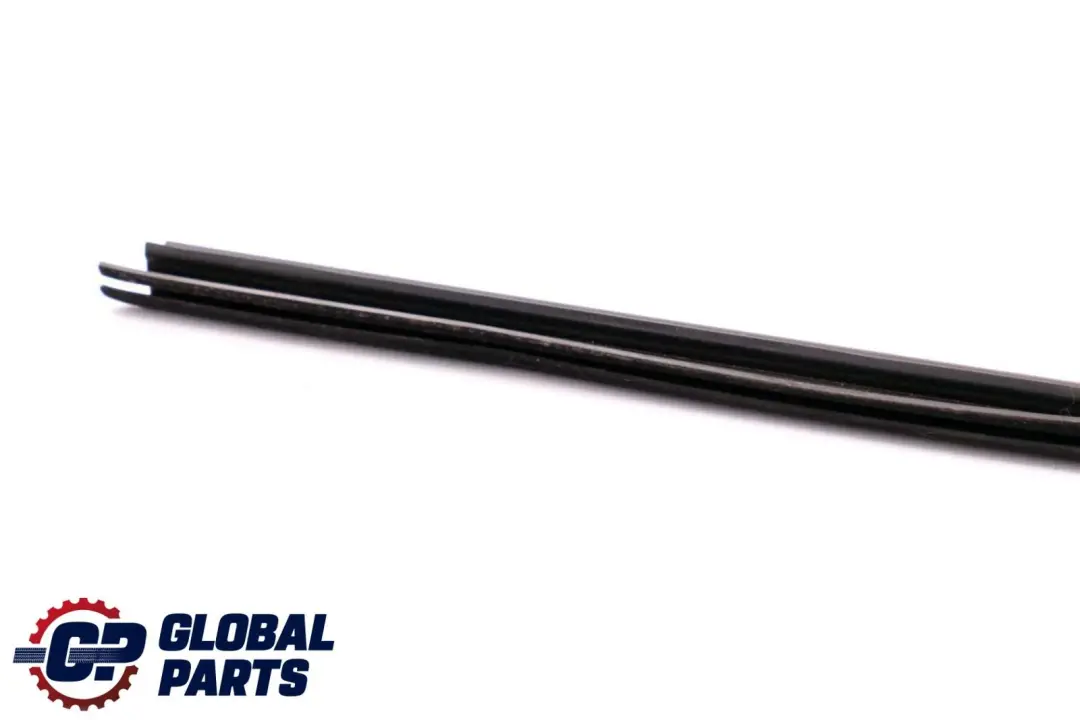 Left Door N/S Inner Weatherstrip Sealing Trim to BMW X6 Series E71 Rear with Part number 7179403 BMW X6 Series E71 Rear Left Door N/S Inner Weatherstrip Sealing Trim - SKU 7179403 - Part number 7179403