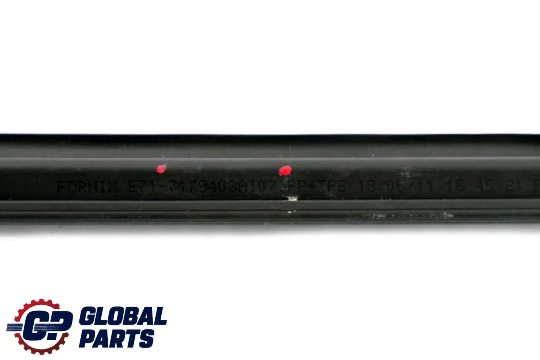 BMW X6 E71 Puerta Trasera Izquierda Burlete Interior Embellecedor - SKU 7179403 - Número de pieza 7179403