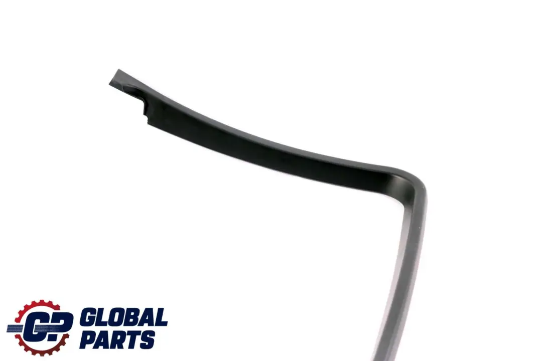 BMW X6 E71 Puerta Trasera Derecha Marco Ventana Recubrimiento Negro - SKU 7179730 - Número de pieza 7179730