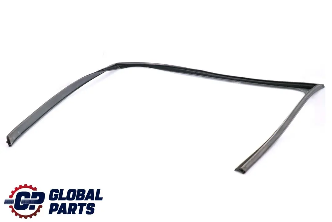  Fenster Führung BMW F10 F11 Tür Dichtung Vorne Links - SKU 7182273 - Teilenummer 7182273