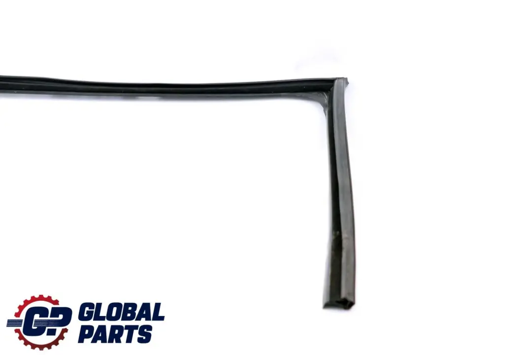  Fenster Führung BMW F10 F11 Tür Dichtung Vorne Links - SKU 7182273 - Teilenummer 7182273