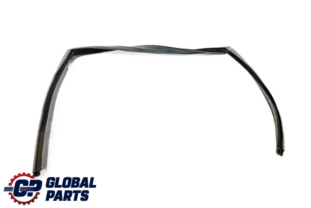 BMW 5 Series F10 Door Window Guide Rear Left N/S Seal - SKU 7182297 - Part number 7182297