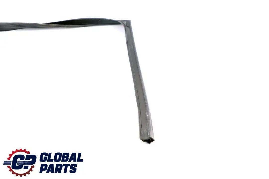 Fensterführung Tür Hinten Links für BMW 5 er F10 mit Teilenummer 7182297 BMW 5 er F10 Fensterführung Tür Hinten Links - SKU 7182297 - Teilenummer 7182297