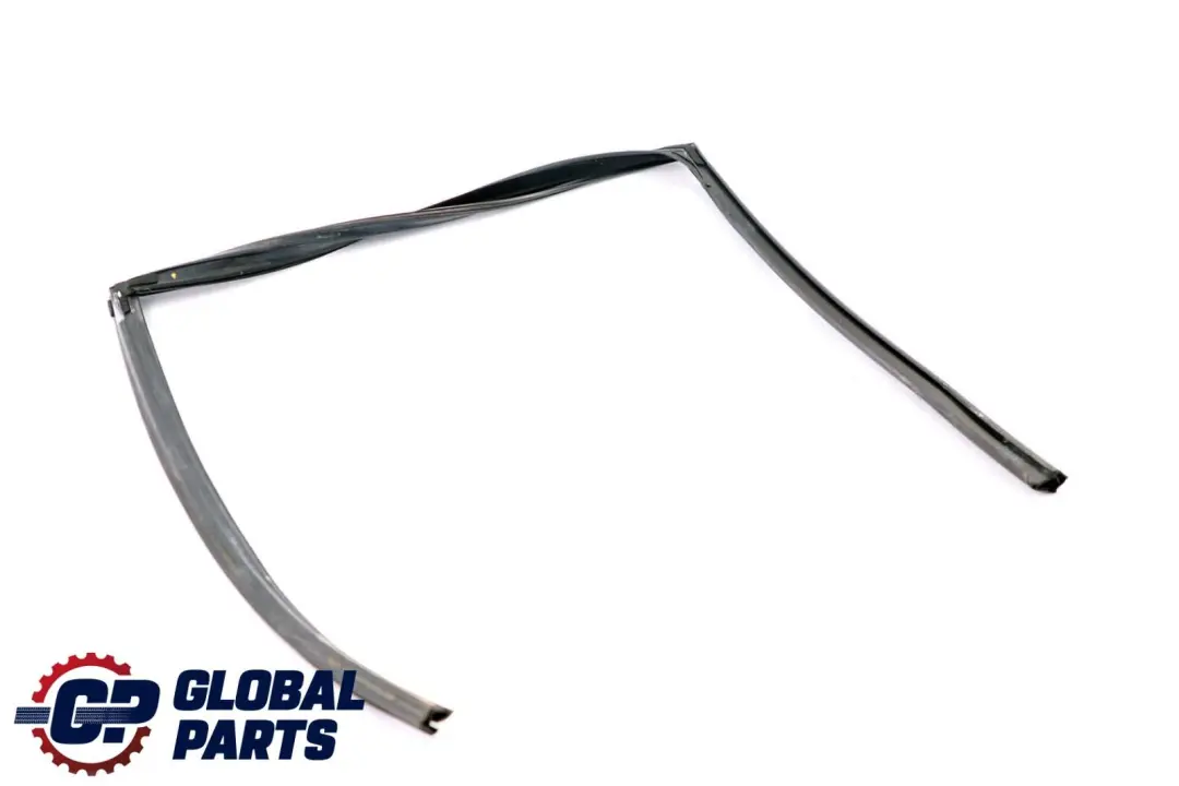 Fensterführung Tür Hinten Links für BMW 5 er F10 mit Teilenummer 7182297 BMW 5 er F10 Fensterführung Tür Hinten Links - SKU 7182297 - Teilenummer 7182297