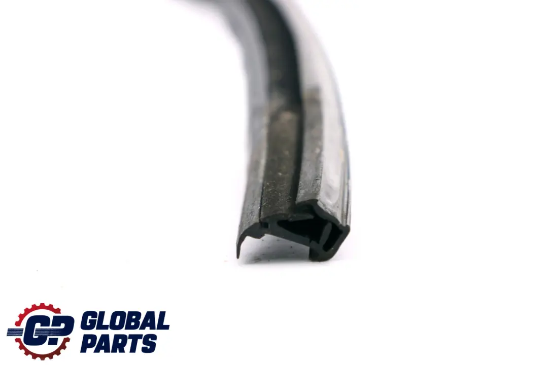 BMW 5 Series F10 Door Window Guide Rear Right O/S Seal - SKU 7182298 - Part number 7182298