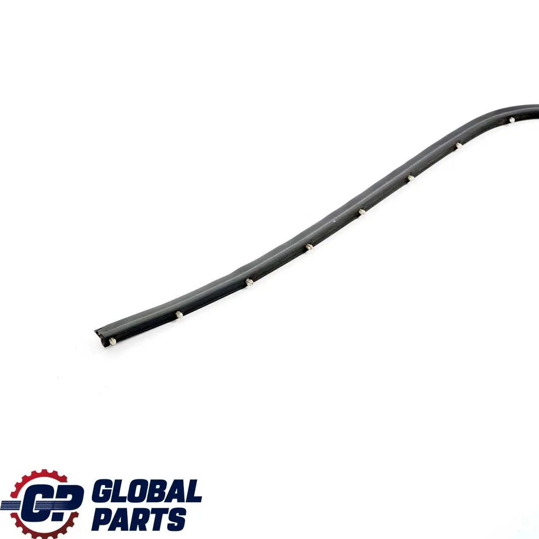BMW F10 LCI Guarnizione Posteriore Porta Gap Inferiore Sinistra Destra - SKU 7182301 - Numero di parte 7182301