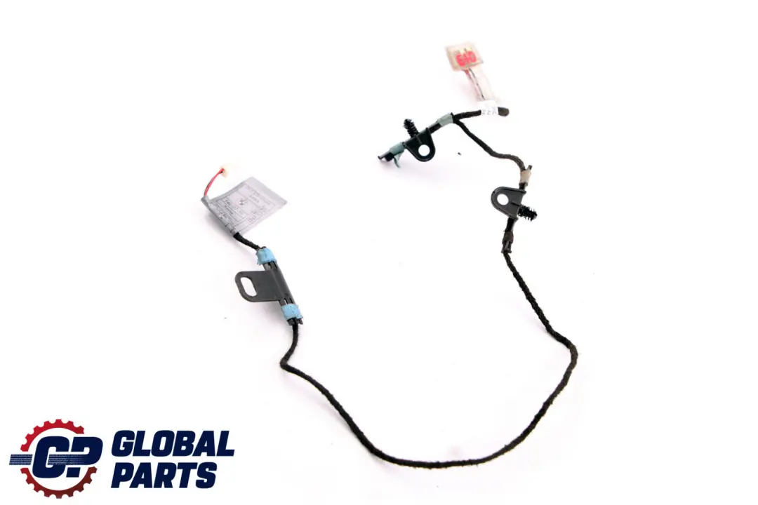 BMW X5 X6 Series E70 E71 Door Handle Lighting Light Front Left N/S - SKU 7184659 - Part number 7184659