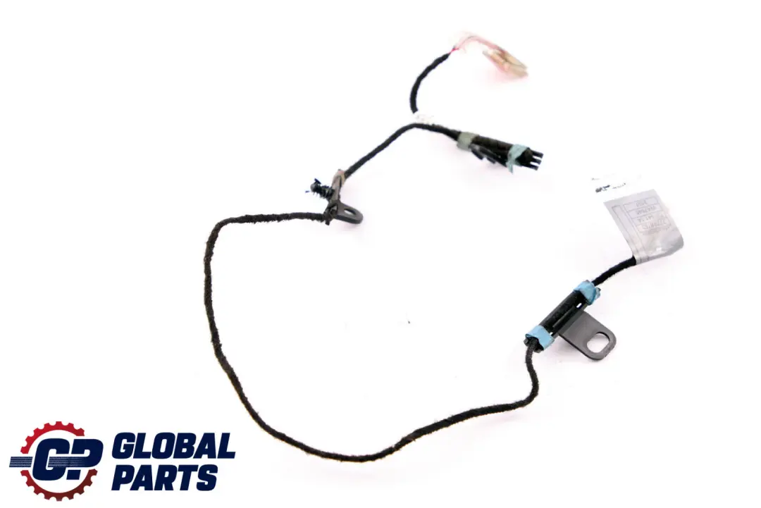 BMW X5 X6 Series E70 E71 Door Handle Lighting Light Front Left N/S - SKU 7184659 - Part number 7184659