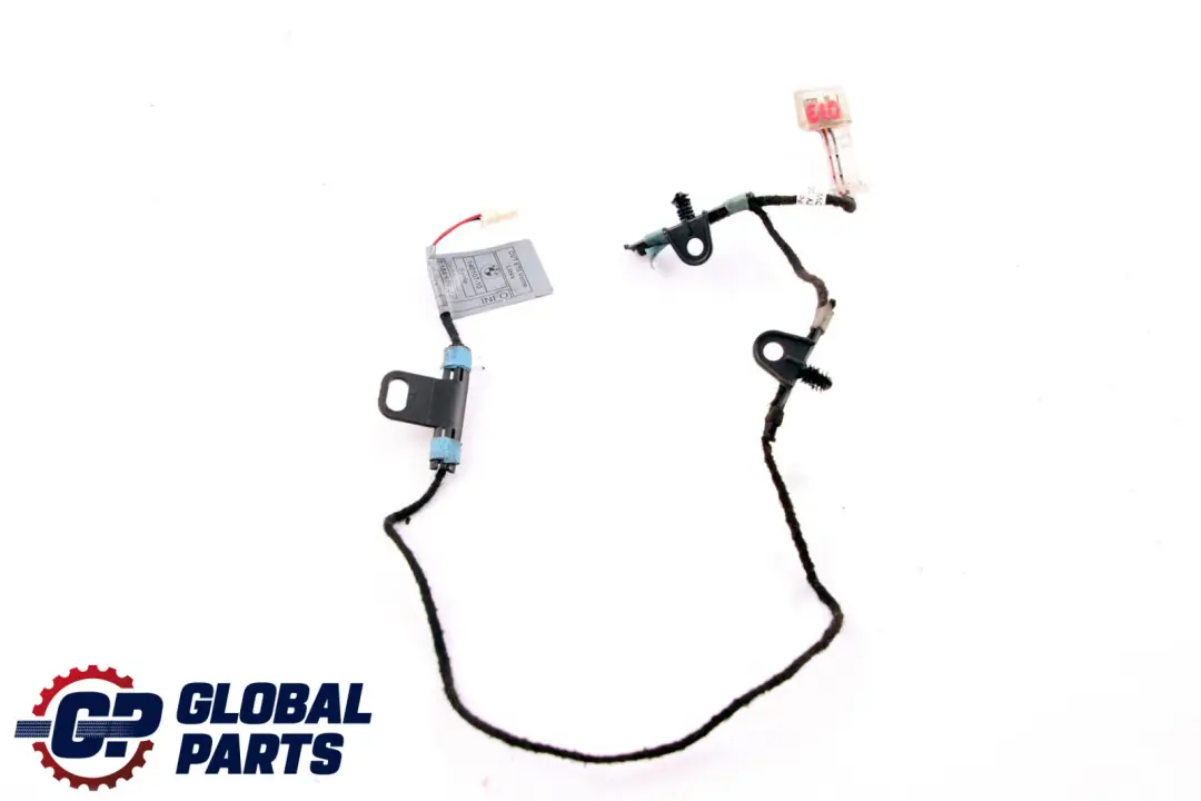 BMW X5 X6 Series E70 E71 Door Handle Lighting Light Front Left N/S - SKU 7184659 - Part number 7184659