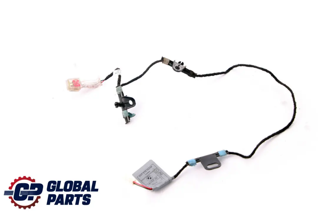 BMW X5 X6 Series E70 E71 Door Handle Lighting Light Front Left N/S - SKU 7184659 - Part number 7184659