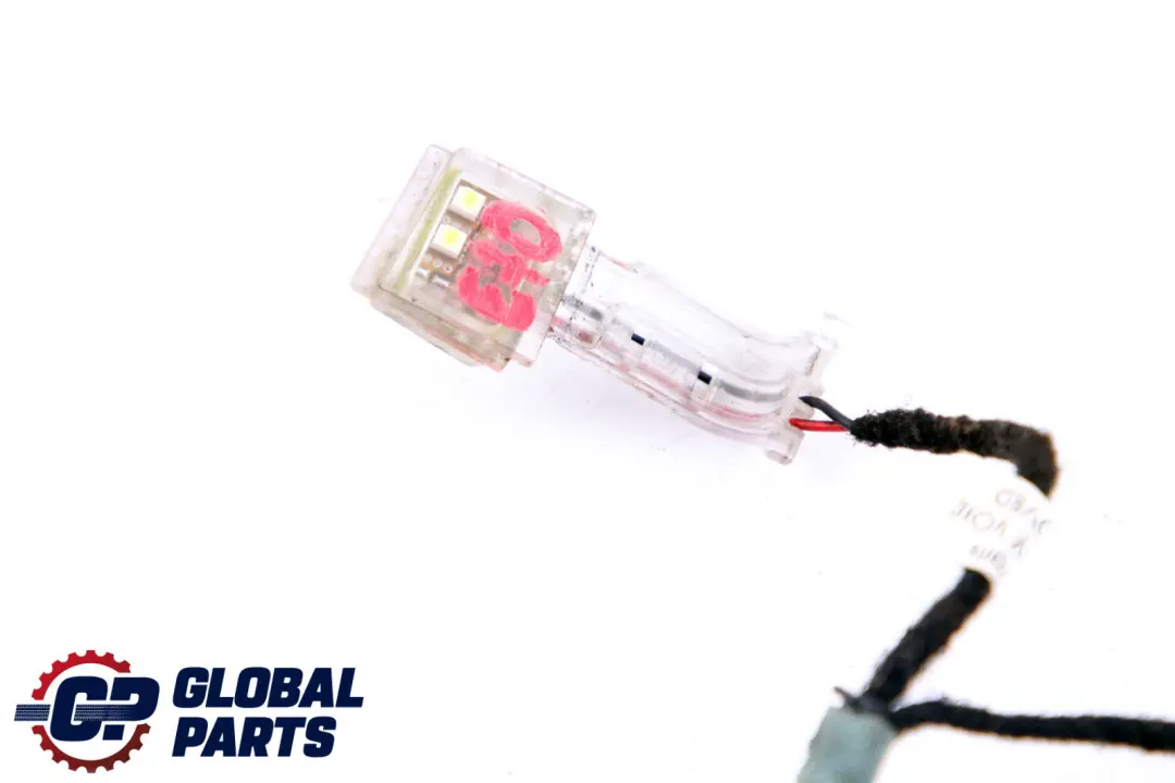 BMW X5 X6 Series E70 E71 Door Handle Lighting Light Front Left N/S - SKU 7184659 - Part number 7184659