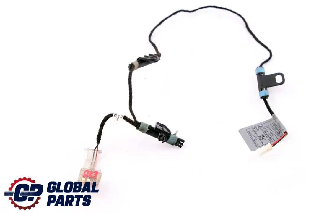 BMW X5 X6 E70 E71 Poignee de Porte eclairage a L'Avant Gauche - SKU 7184659 - Numéro de pièce 7184659