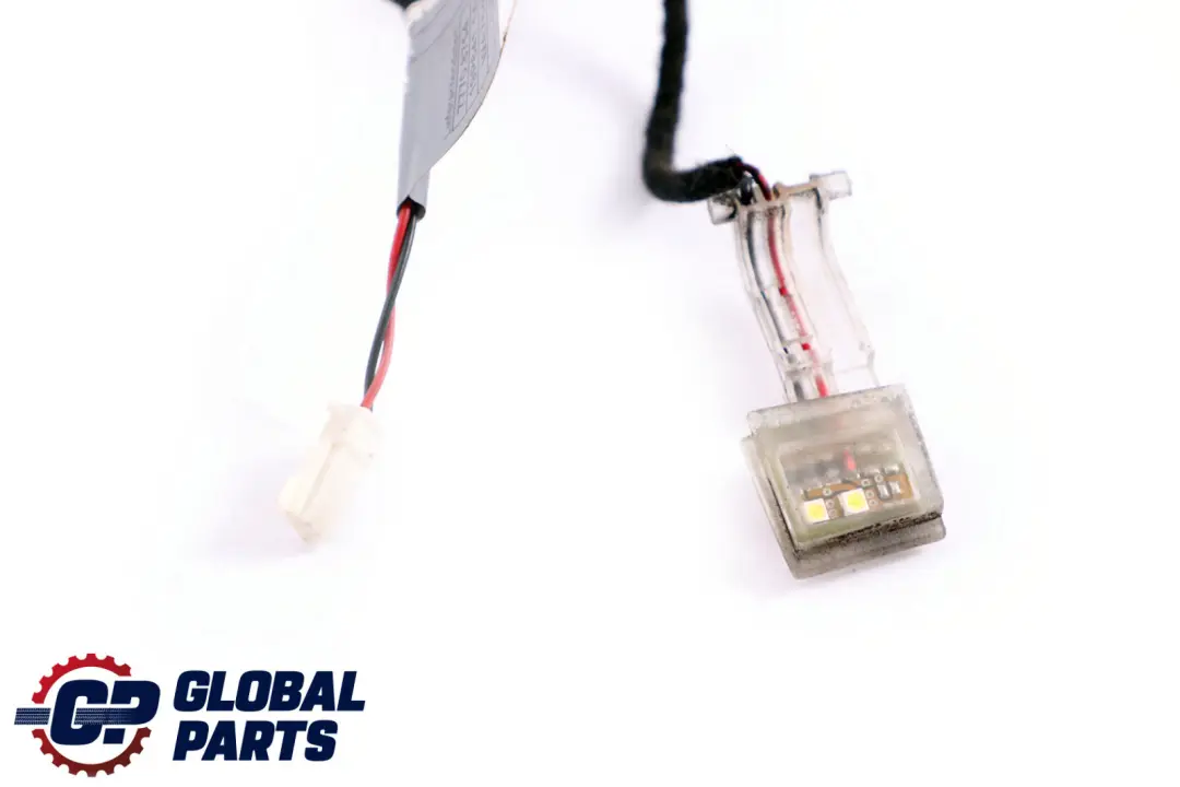 BMW X5 X6 E70 E71 Maniglia per Porta Illuminazione Anteriore Destro - SKU 7184660 - Numero di parte 7184660