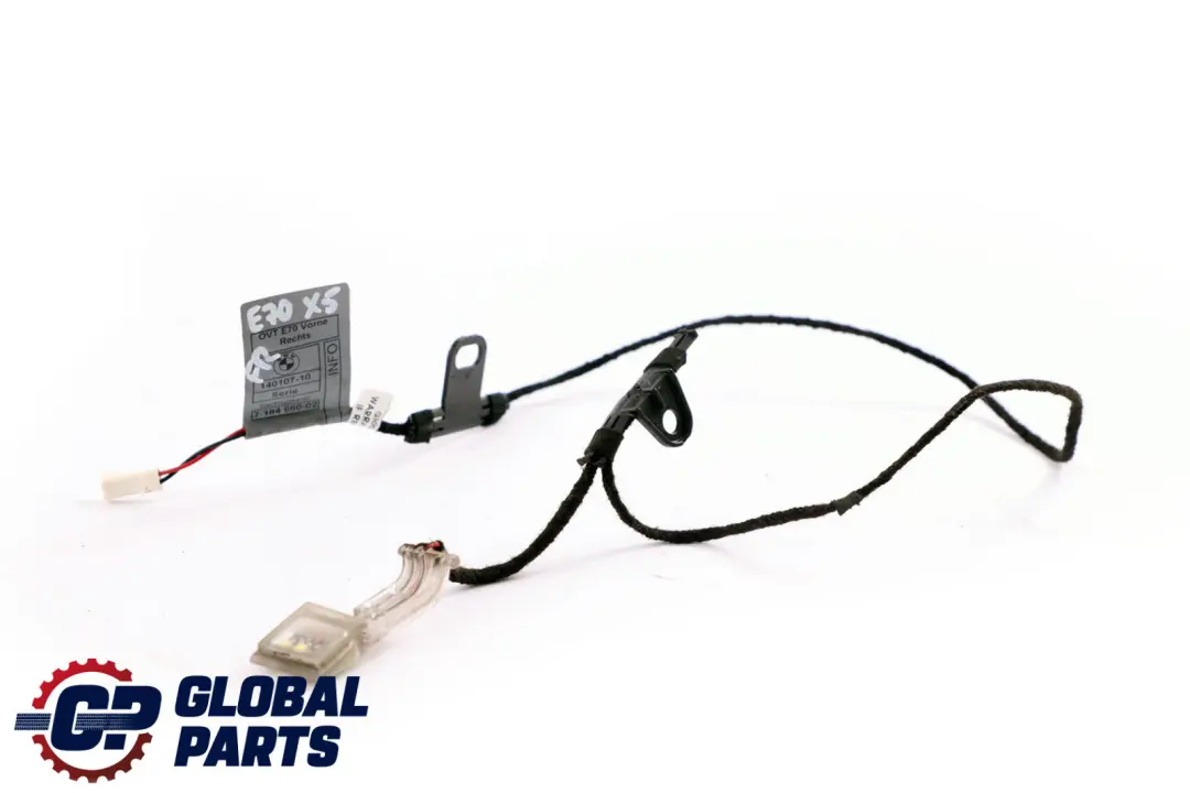 BMW X5 X6 E70 E71 Maniglia per Porta Illuminazione Anteriore Destro - SKU 7184660 - Numero di parte 7184660