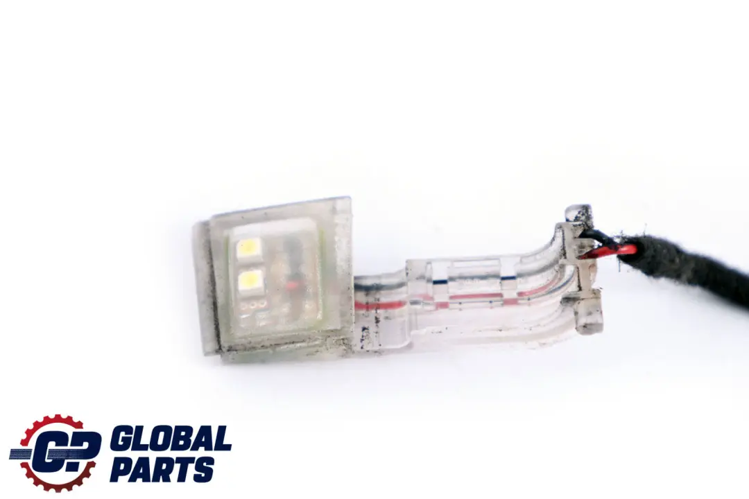 BMW X5 X6 E70 E71 Maniglia per Porta Illuminazione Anteriore Destro - SKU 7184660 - Numero di parte 7184660