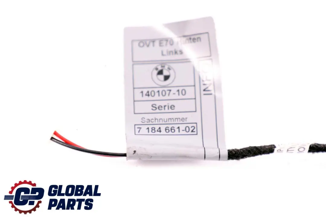 Türgriffbeleuchtung Hinten Links für BMW X5 X6 er E70 E71 mit Teilenummer 7184661 BMW X5 X6 er E70 E71 Türgriffbeleuchtung Hinten Links - SKU 7184661 - Teilenummer 7184661