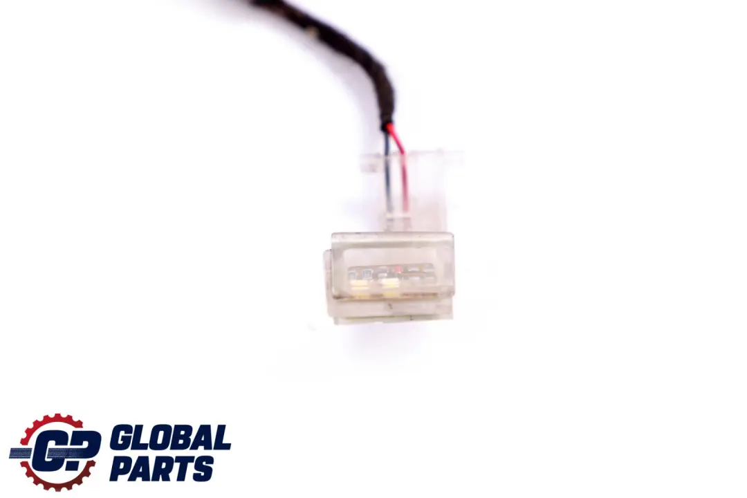 BMW X5 X6 Series E70 E71 Door Handle Lighting Light Rear Right O/S - SKU 7184662 - Part number 7184662