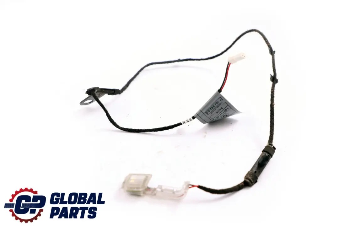 BMW X5 X6 E70 E71 Maniglia Porta Illuminazione Luce Posteriore Destra - SKU 7184662 - Numero di parte 7184662