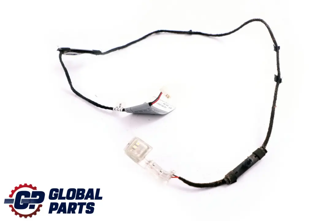 BMW X5 X6 E70 E71 Door Handle Lighting Light Rear Right O/S - SKU 7184662 - Part number 7184662