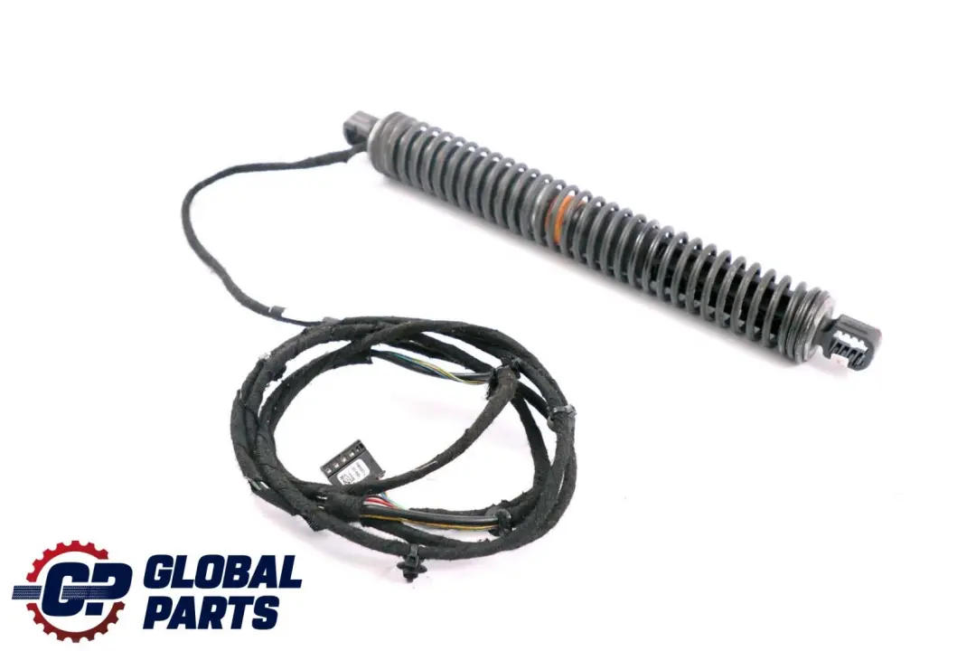 BMW F01 F02 Tapa de la compuerta trasera del eje trasero izquierdo - SKU 7185713 - Número de pieza 7185713