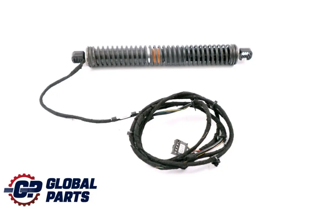 Spindel Antrieb Strebe Heck Klappe Boot Hinten Links für BMW F01 F02 mit Teilenummer 7185713 BMW F01 F02 Spindel Antrieb Strebe Heck Klappe Boot Hinten Links - SKU 7185713 - Teilenummer 7185713
